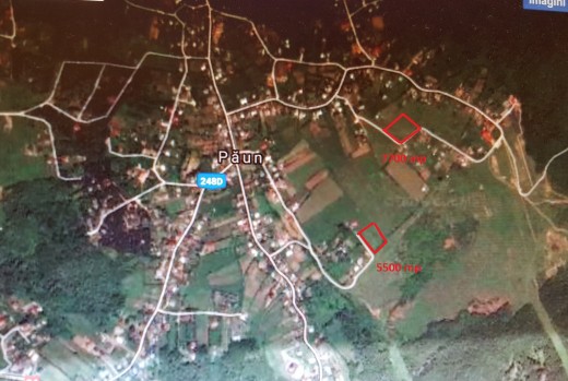 Teren de vanzare in Iasi, Barnova, Bucium, Paun - 5500 mp, 11.0 EUR