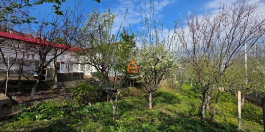 Casa de vanzare in Iasi, Iasi - 228 mp, 190000 EUR