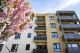 Interior apartament WELMONT