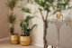 Imagine Mosaic Residence Tractorul Brasov
