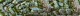 Cosmopolis Residence